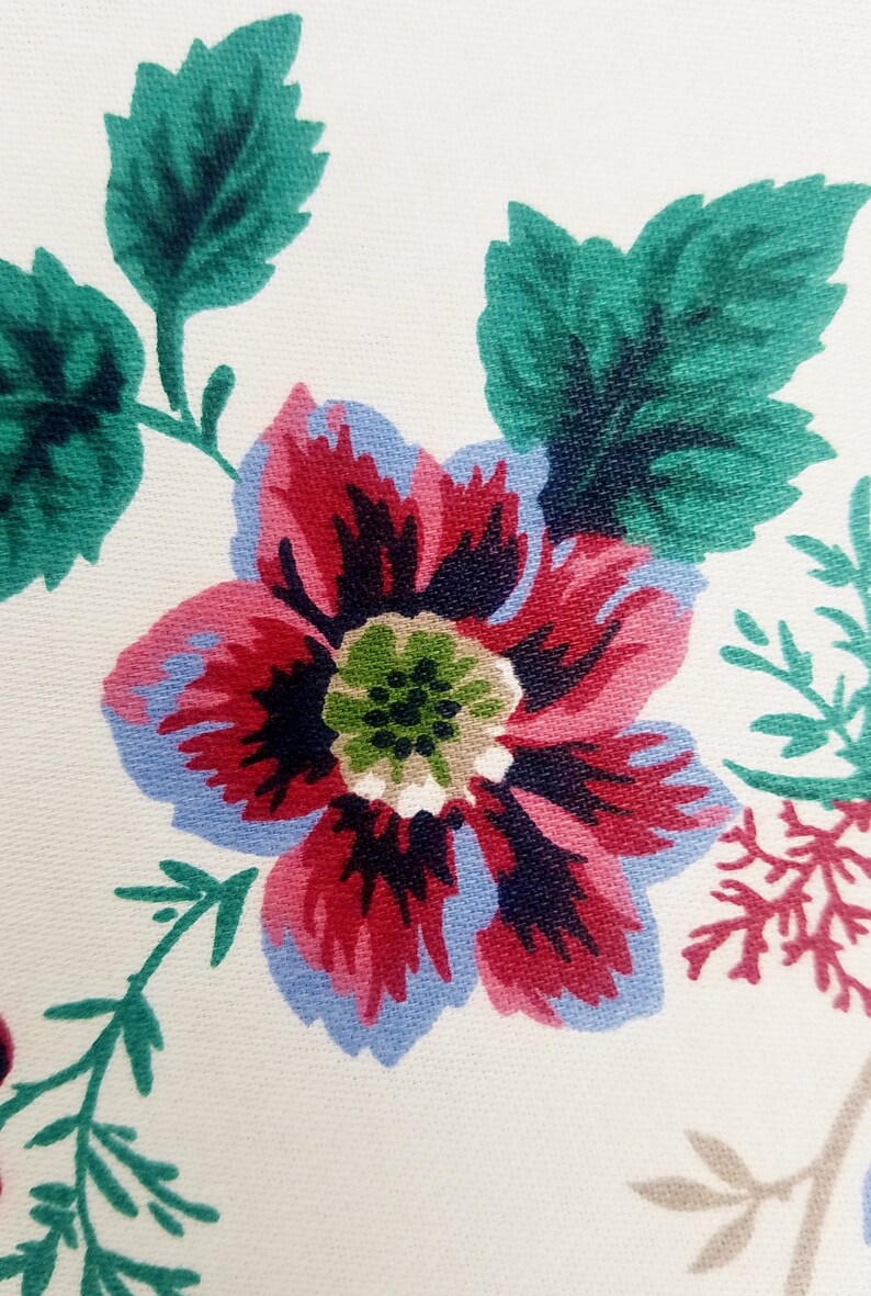 May include: A close-up of a red, pink, and blue flower with a green center. The flower is surrounded by green leaves on a white background.