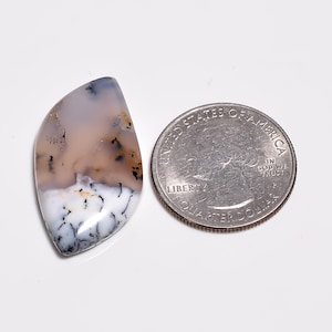 May include: A polished, teardrop-shaped dendritic agate gemstone featuring a translucent, pale beige upper section and an opaque white lower section, both marked with black, fern-like inclusions, positioned next to a US quarter coin.