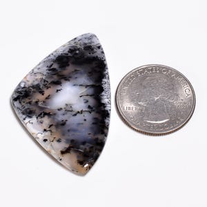 May include: A triangular dendritic agate gemstone with a translucent white base and black fern-like inclusions, positioned next to a United States quarter coin for scale to show the relative size of the polished stone.