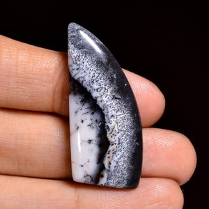Peut inclure: Une pierre précieuse polie en forme de larme allongée présentant un motif contrasté de sections blanc opaque et noir profond. La surface affiche des inclusions dendritiques complexes en forme de fougère passant du noir au blanc.