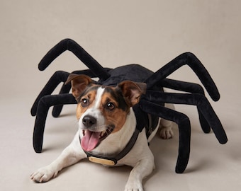 Costume da ragno per cani