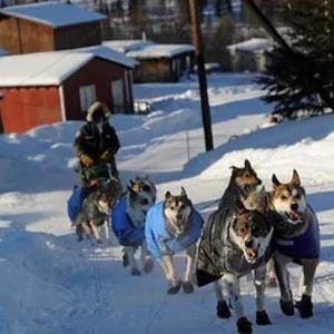 May include: A team of six sled dogs running through a snowy landscape, each wearing a colorful dog coat and protective booties. A musher is positioned behind the dogs on a sled, navigating the snow-covered path near several small red buildings.