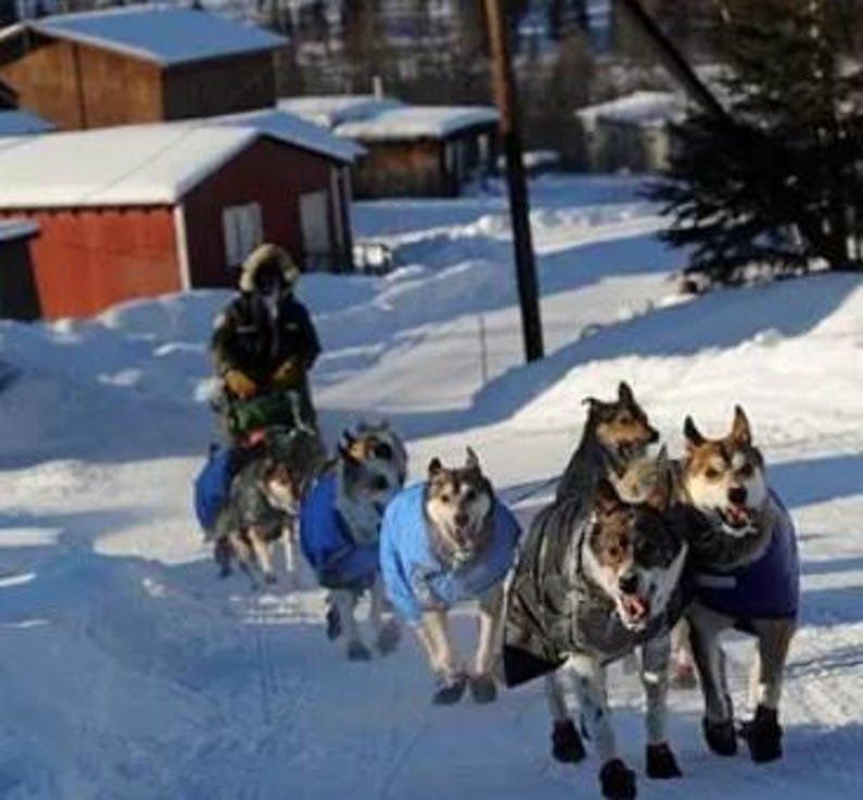 May include: A team of six sled dogs running through a snowy landscape, each wearing a colorful dog coat and protective booties. A musher is positioned behind the dogs on a sled, navigating the snow-covered path near several small red buildings.