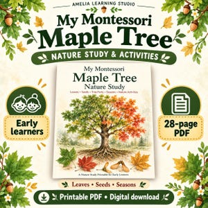 May include: A 28-page printable PDF nature study titled My Montessori Maple Tree. The cover features a large maple tree with green and orange leaves, fallen leaves, and seeds. Text includes Amelia Learning Studio, Nature Study & Activities.