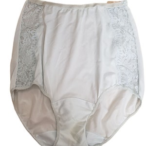 Vintage Hollywood Vassarette Nylon Tricot Briefs Panties Pale Blue Size 4 