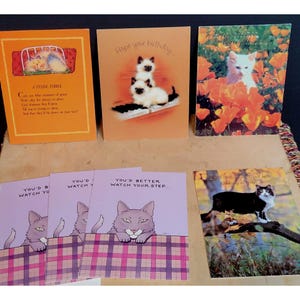 Cartões de felicitações vintage americanos com gatos sem escrita dentro, sortidos dos anos 70 e 80