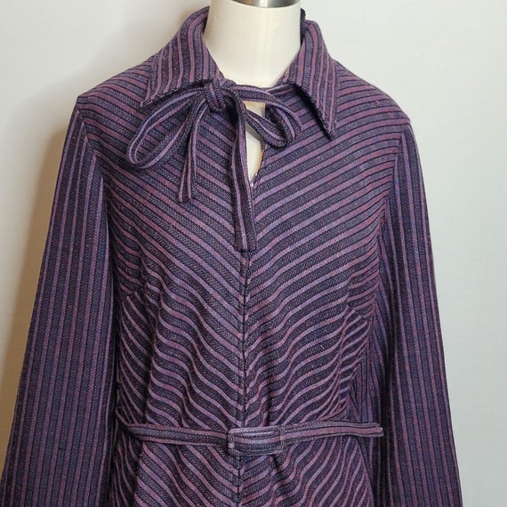 Vintage Shirt Dress Amy Adams Stripe Belted Tie N… - image 2