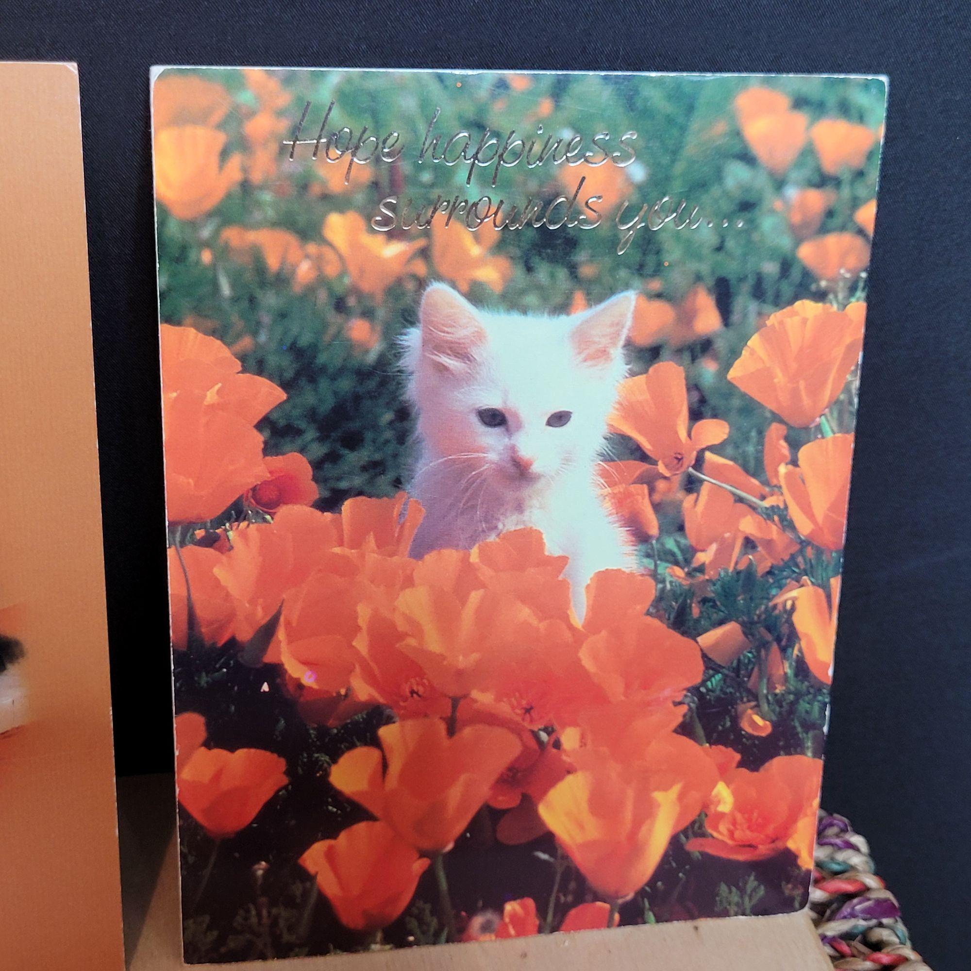 Vintage American Greetings Cat Cards No Writing Inside Assorted  Vintage American Greetings Cat Cards No Writing Inside Assorted 70s 80s main image 0