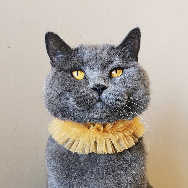 Ruff Collar for Cat and Dog Choker Clown Kitty Collar Pet Mustard Ruffle Circus Pet Party Costume Pet Gift for Cat and Dog Birthday Gift