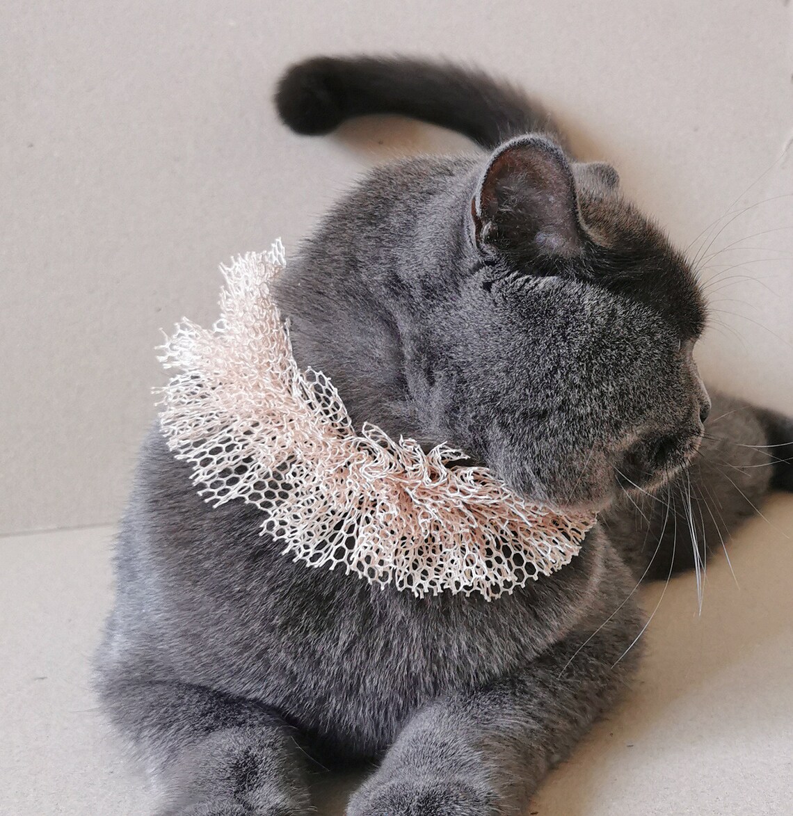 Nude Mesh Fabric Cat Ruffle Collar Small Dog Neck Accessory Etsy