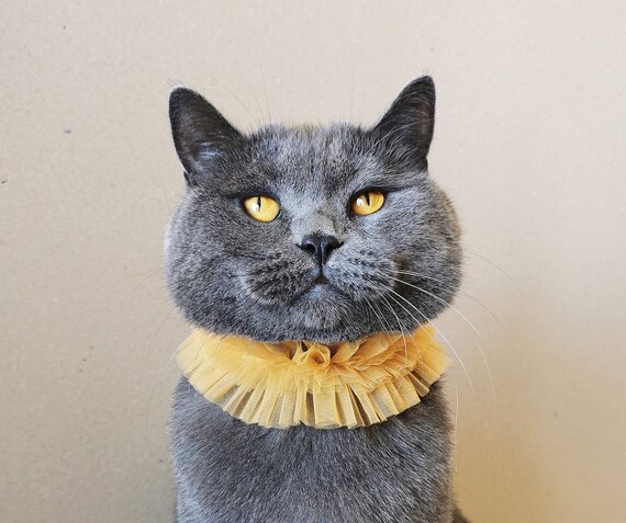 Ruff Collar for Cat and Dog Choker Clown Kitty Collar Pet Mustard Ruffle Circus Pet Party Costume Pet Gift for Cat and Dog Birthday Gift
