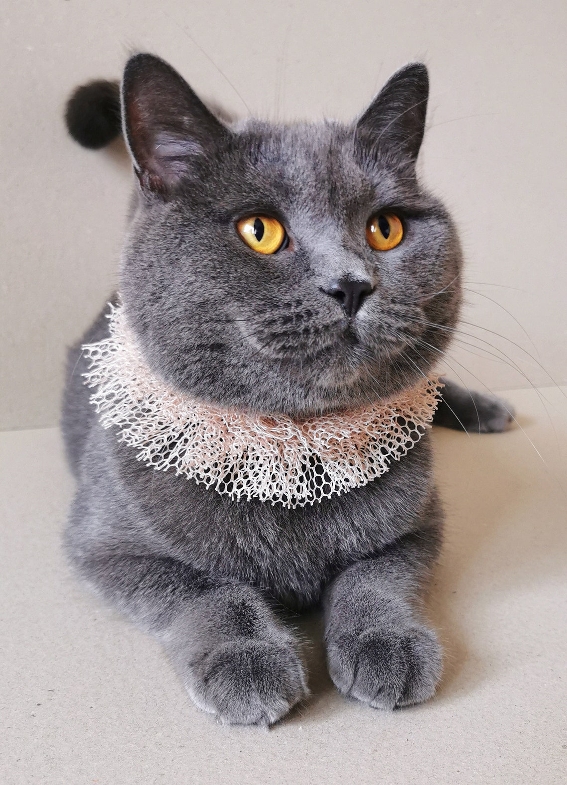 Nude Mesh Fabric Cat Ruffle Collar Small Dog Neck Accessory Etsy