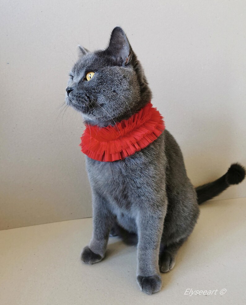 Cat or Dog Ruff Collar in Red Tulle Pet Birthday Gift for Kitty Cat or ...
