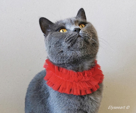 Cat or Dog Ruff Collar in Red Tulle Pet Birthday gift for Kitty Cat or Small Pet First Year Anniversary Clown Cat Ruff for Dog or Cat Lover