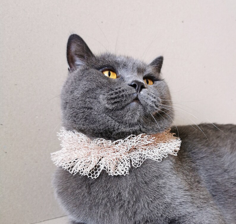 Nude Mesh Fabric Cat Ruffle Collar Small Dog Neck Accessory Etsy