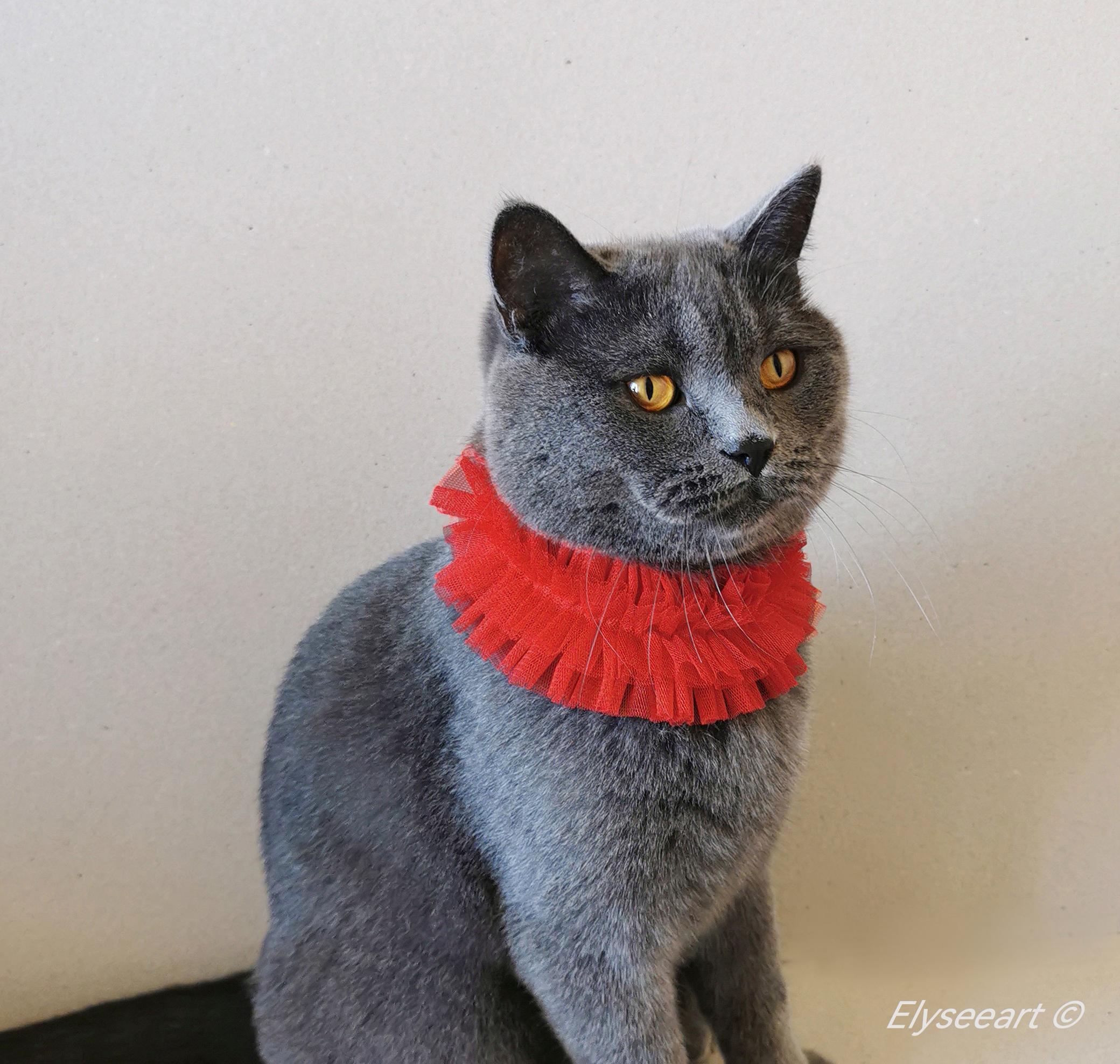 Cat or Dog Ruff Collar in Red Tulle Pet Birthday Gift for Kitty Cat or ...