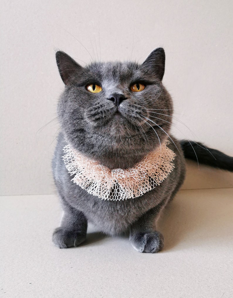 Nude Mesh Fabric Cat Ruffle Collar Small Dog Neck Accessory Etsy