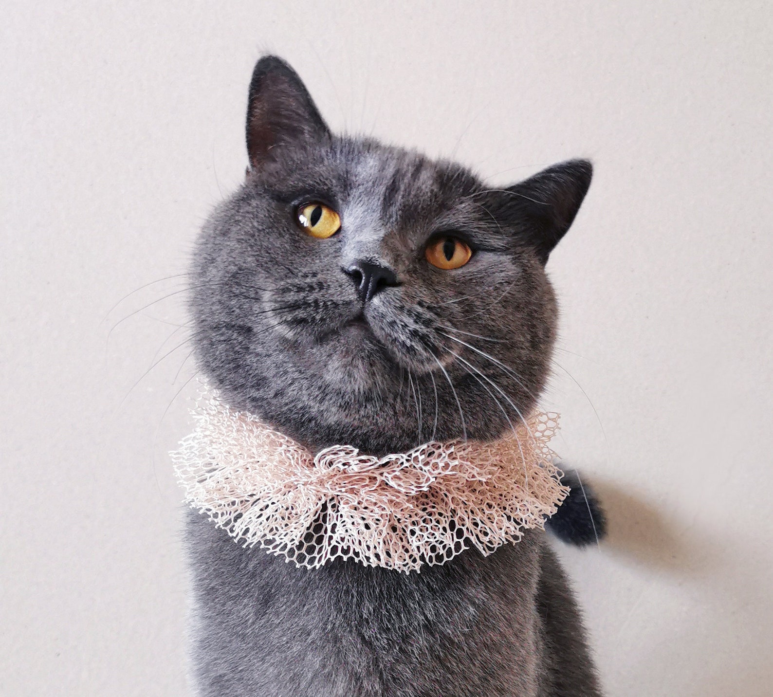 Nude Mesh Fabric Cat Ruffle Collar Small Dog Neck Accessory Etsy