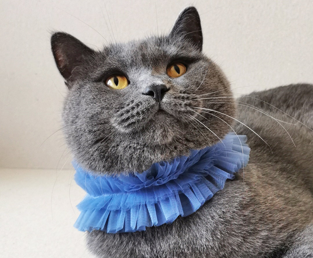 Blue Tulle Ruffle Clown Collar for Cats and Small Dogs, Unique Pet ...