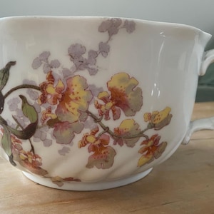 Antique French Porcelain Chamber Pot, Alfred Hache & Co Vierzon France, Turn of the Century Floral Cachepot, Cottagecore Planter, Late 1800s