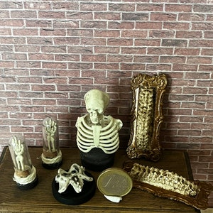 Reproduções em miniatura de casas de bonecas de partes do corpo humano (ossos e esqueleto)