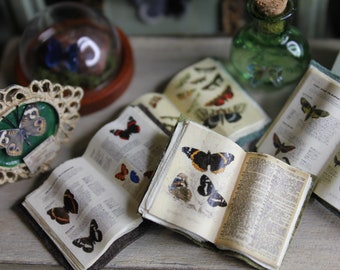 Dollhouse miniature  butterflies open book