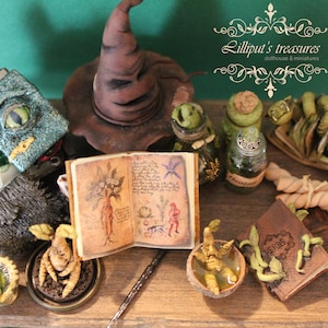 May include: A miniature wizard's workshop with a green glass orb, a book with an eye on the cover, a brown pointed hat, a book with illustrations of plants, a green glass bottle with a cork stopper, a book with the word "Secrets" on the cover, and a green snake figurine.