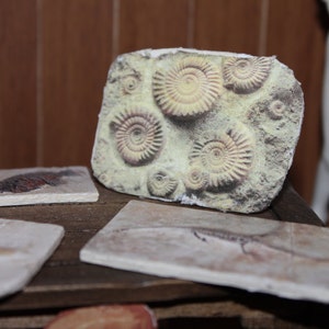 Riproduzione fossile di una miniatura di una casa delle bambole