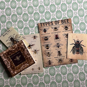 Op de afbeelding: Een verzameling vintage kaarten en boeken met een bijen-thema. De kaarten bevatten illustraties van verschillende soorten bijen, waaronder honingbijen, hommels en bladsnijdende bijen. De boeken hebben titels als "Honey Bee" en "Museum Press".