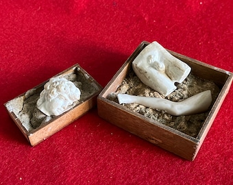 Dollhouse miniature archeological finds in  wooden boxes
