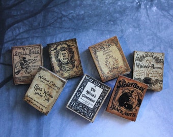 Dollhouse Miniature 7 diversi incantesimi e pozioni apribili libri