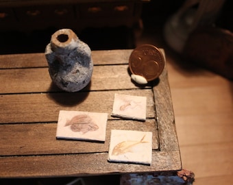 Dollhouse miniature find set of 3 fossils