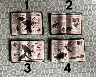 Dollhouse miniature insects and butterflies open books