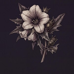 May include: A botanical illustration of a flower with five petals, featuring intricate veining and stippled shading. The plant includes serrated leaves and several closed buds on a central stem, rendered in shades of cream and dark charcoal gray.