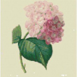 Vintage Hydrangea Botanical Cross Stitch Pattern, Digital Download PDF