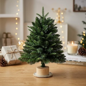 Könnte beinhalten: Ein kleiner künstlicher immergrüner Baum mit dichten grünen Nadeln, montiert auf einem zylindrischen hellen Holzsockel, der auf einem runden Keramikteller steht. Der Baum hat eine konische Form und realistisch strukturierte Zweige.