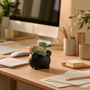 Frog Succulent Pot, 4-Inch Planter with Removable Drainage Pot in 8 Colors