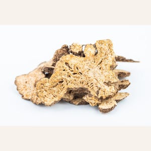 May include: A cluster of dried, sliced plant roots with a rough, beige-colored interior and dark brown, textured outer edges. The slices exhibit a porous, fibrous cross-section with irregular shapes and varying thicknesses, arranged in a small pile.