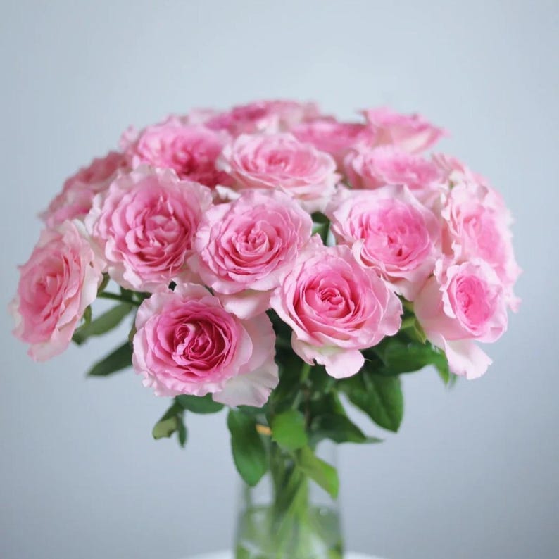 May include: A large bouquet of fresh pink roses with layered petals and green stems. The flowers are arranged in a rounded cluster, displaying various shades of soft pink from light to medium tones, with dark green leaves visible among the stems.