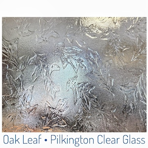 May include: A sheet of clear textured glass featuring a repeating embossed pattern of oak leaves. The surface has a pebbled, translucent finish that obscures direct views while allowing light to pass through. The text Oak Leaf • Pilkington Clear Glass is printed in blue at the bottom.