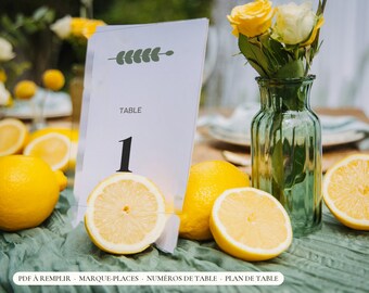 French Wedding Seating Chart, Fillable PDF Place Cards, Table Numbers (Digital Download)