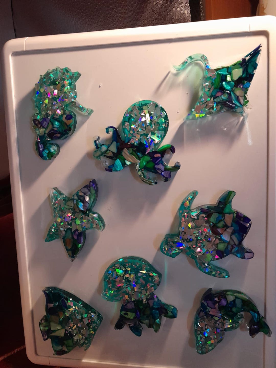 Set of 8 Ocean Sea Life MAGNETS Large Gorgeous Shimmer Dolphin Octopus ...