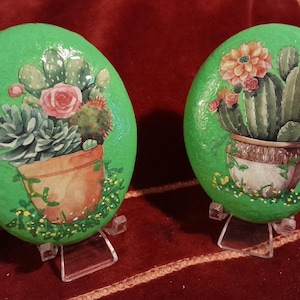 May include: Two green painted rocks, each featuring a different potted succulent and floral arrangement. The rocks are oval-shaped and rest on clear plastic stands. The plants are in terracotta-colored pots with detailed botanical illustrations.