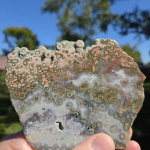 May include: A polished slab of ocean jasper featuring a complex pattern of circular orbs in shades of sage green, salmon pink, cream, and white. The stone displays a natural, irregular shape with a small, dark, hollow cavity near the bottom edge.