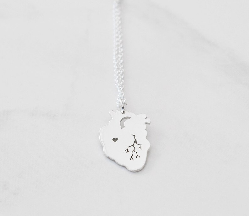 Anatomical Heart Organ Necklace, Handcrafted Ecofriendly Sterling