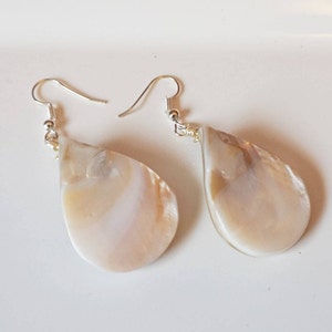 May include: A pair of silver dangle earrings with pearlescent white shell drops.