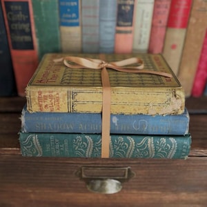 May include: A stack of three vintage hardcover books tied together with a thin tan ribbon. The top book is yellow with black text reading Homestead on the Hillside, the middle is blue, and the bottom is green with an intricate floral pattern.