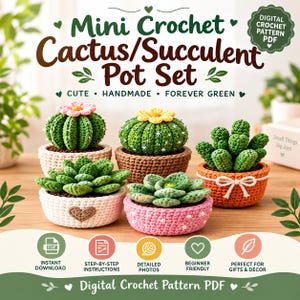 Op de afbeelding: Een digitaal haakpatroon PDF voor een mini cactus en vetplant potset. De afbeelding toont vijf gehaakte planten in verschillende gekleurde potten, waaronder roze, beige, bruin en oranje, met de tekst Mini Crochet Cactus/Succulent Pot Set.