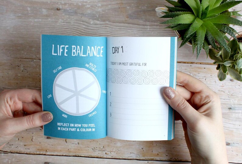May include: A blue and white journal with the title "Life Balance" and a wheel chart for tracking different areas of life. The right page has the title "Day 1" and a section for writing about what you are grateful for.
