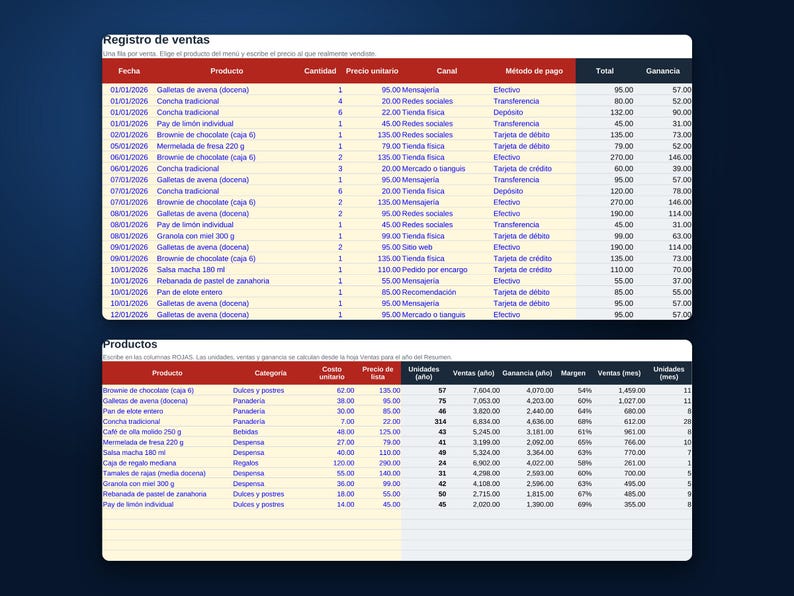Verkooptracker-spreadsheet, sjabloon voor Excel en Google Sheets, dagelijks verkooplogboek, dashboard voor kleine bedrijven, digitale download afbeelding 3